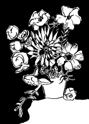 Image Not Available